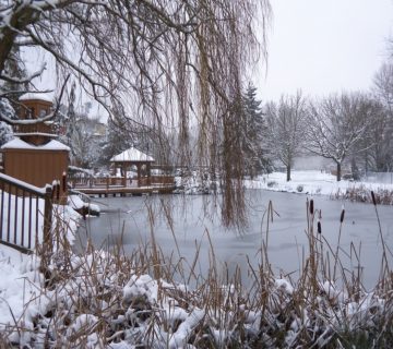 Winter Gartengestaltung