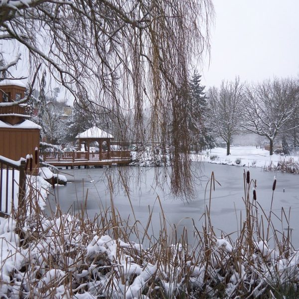 Winter Gartengestaltung